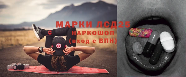 дурь Бородино