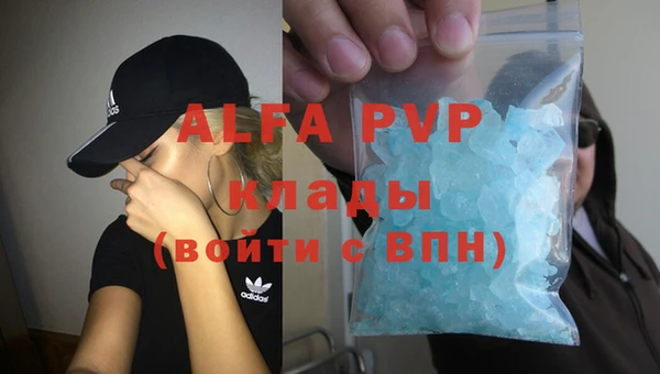 дурь Бородино