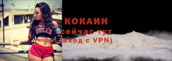 дурь Бородино