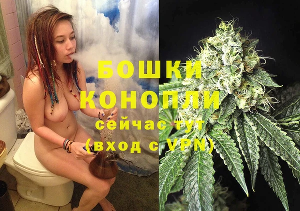 дурь Бородино
